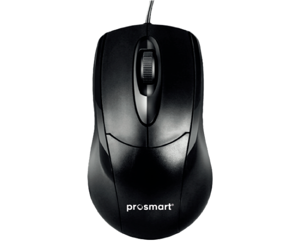 PSK 204 131 A01 mouse